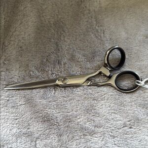 Professional Silver Hair Cutting Scissors